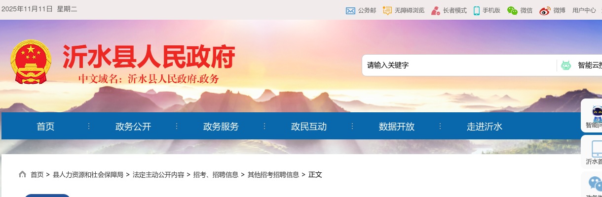 2025临沂沂水城开投资发展集团有限公司下属子公司招聘劳务派遣人员工作简章（21名） 图片