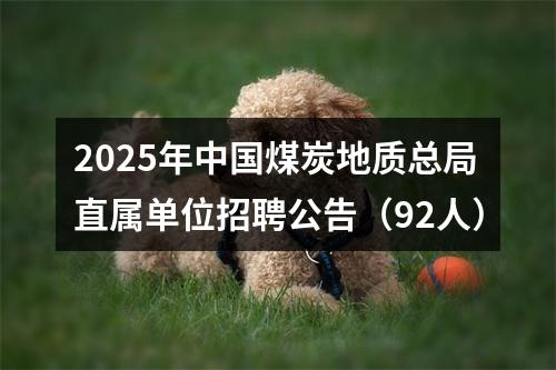 2025年中国煤炭地质总局直属单位招聘公告（92人） 图片