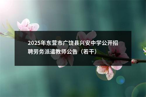 2025年东营市广饶县兴安中学公开招聘劳务派遣教师公告（若干） 图片