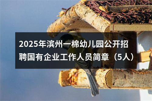 2025年滨州一棉幼儿园公开招聘国有企业工作人员简章（5人） 图片