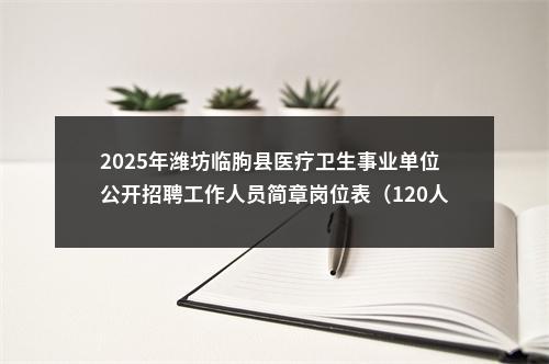 2025年潍坊临朐县医疗卫生事业单位公开招聘工作人员简章岗位表（120人） 图片