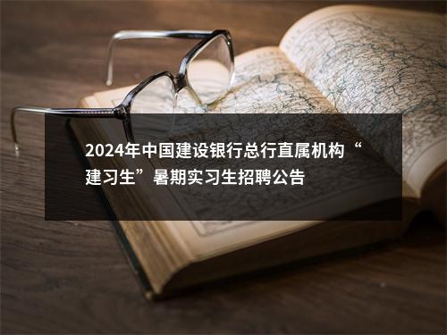 2024年中国建设银行总行直属机构“建习生”暑期实习生招聘公告 图片