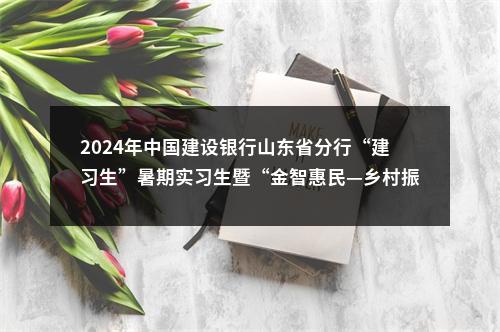 2024年中国建设银行山东省分行“建习生”暑期实习生暨“金智惠民—乡村振兴”万名学子暑期下乡实践队员招聘公告 图片