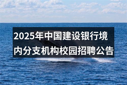 2025年中国建设银行境内分支机构校园招聘公告 图片