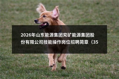 2026年山东能源集团兖矿能源集团股份有限公司技能操作岗位招聘简章（350人） 图片