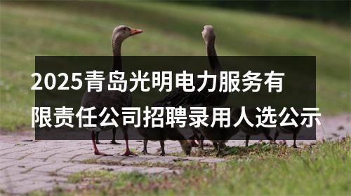 2025青岛光明电力服务有限责任公司招聘录用人选公示 图片