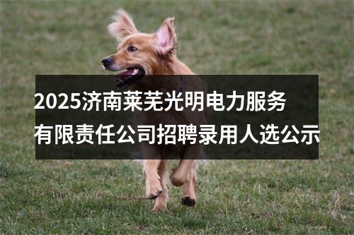 2025济南莱芜光明电力服务有限责任公司招聘录用人选公示 图片