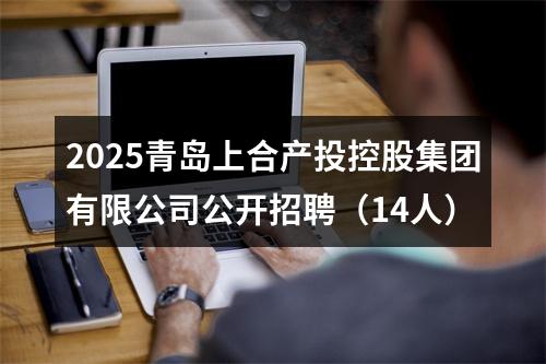 2025青岛上合产投控股集团有限公司公开招聘（14人） 图片